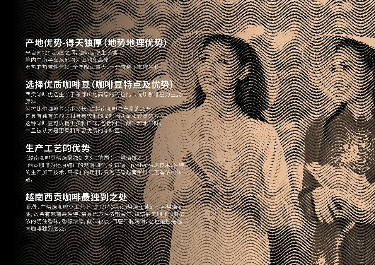 包装系列